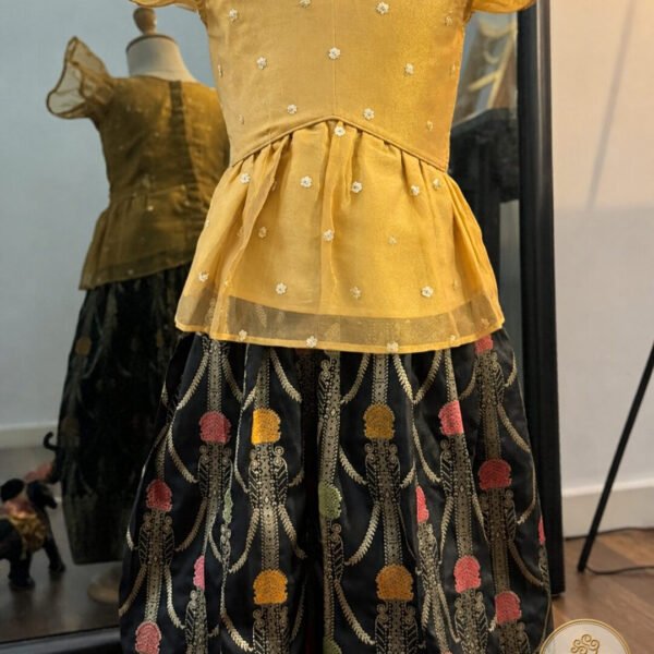 Nyra Pattu Pavadai